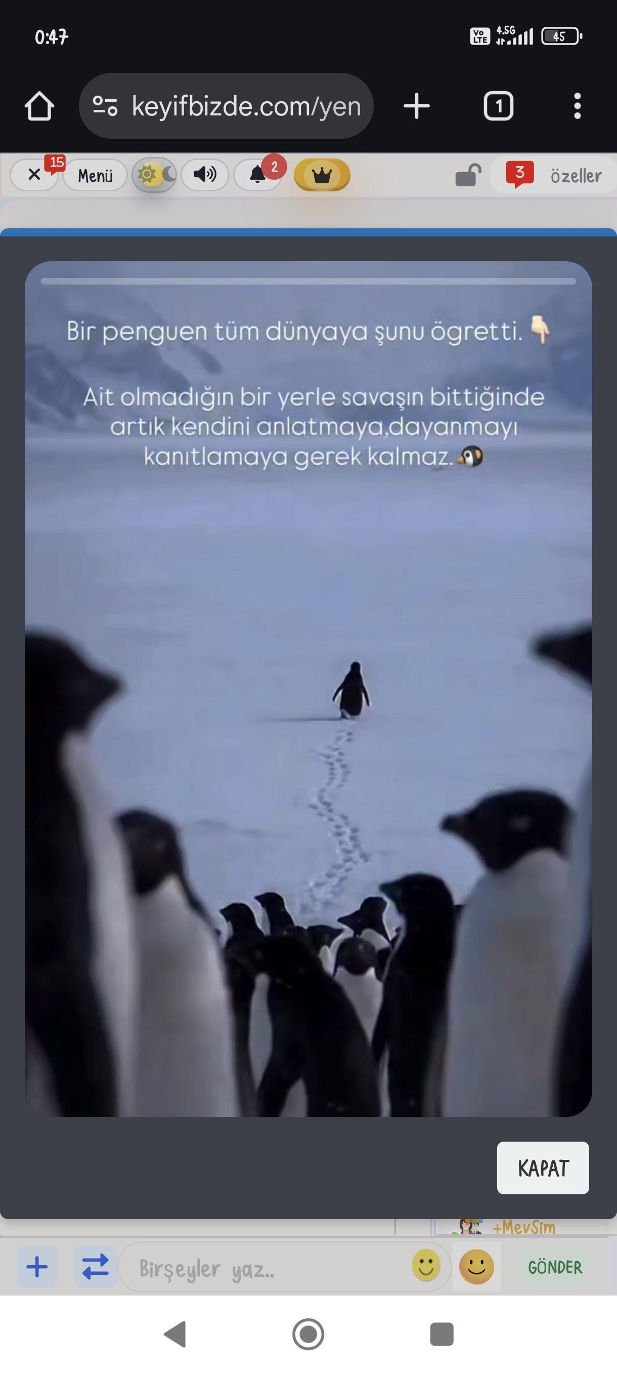 KeyiFBizde.Com & RenkFM [ Durum Payla� , Sesli Arama ]